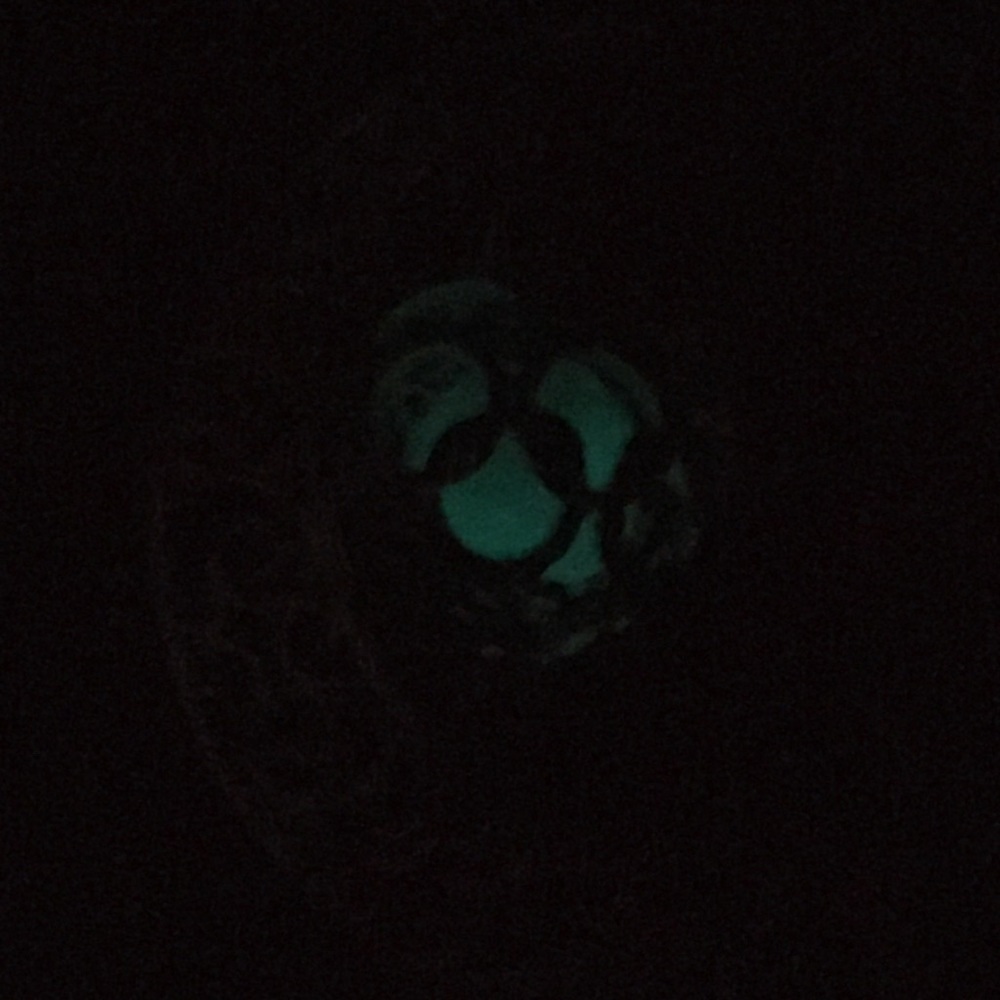 Moon Glow Necklace - Picture 5 of 8